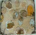 plaque raku