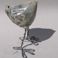 volatile raku