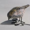 volatile raku